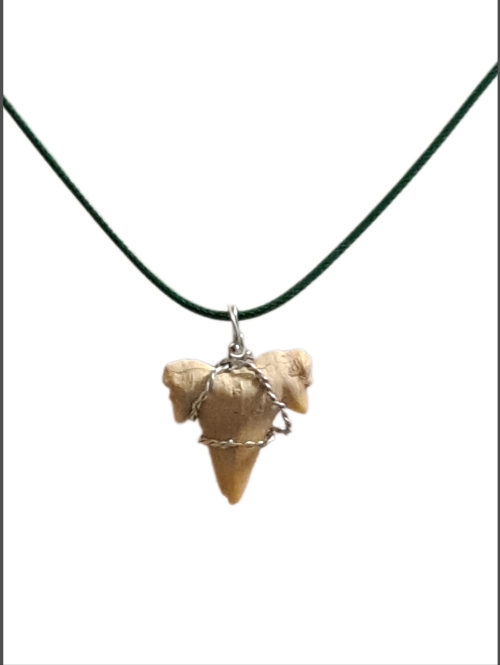 Genuine Fossilized Shark Tooth Pendant with Green Cord Necklace - Picture 2 of 6